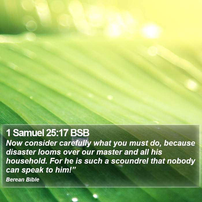 1 Samuel 25:17 BSB Bible Study