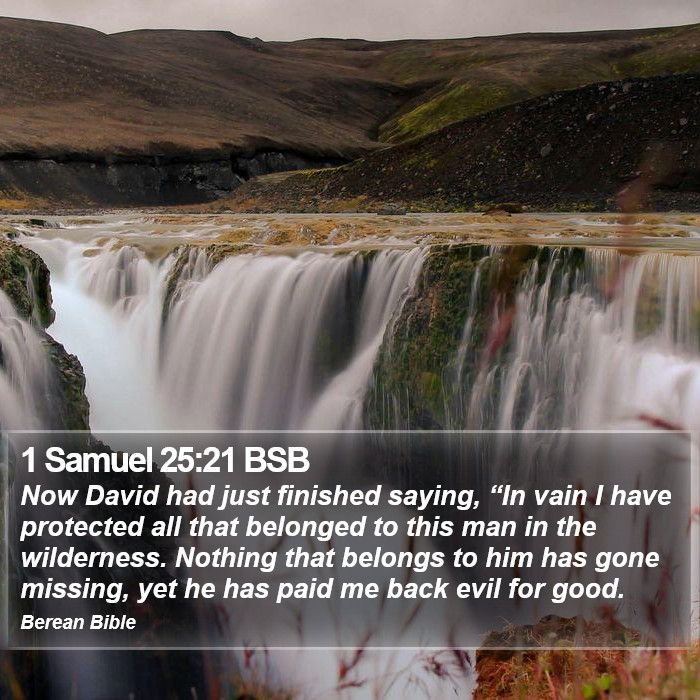 1 Samuel 25:21 BSB Bible Study