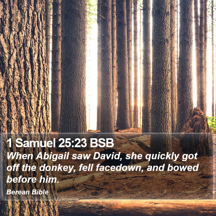 1 Samuel 25:23 BSB Bible Study