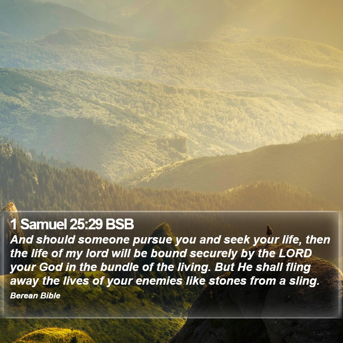 1 Samuel 25:29 BSB Bible Study