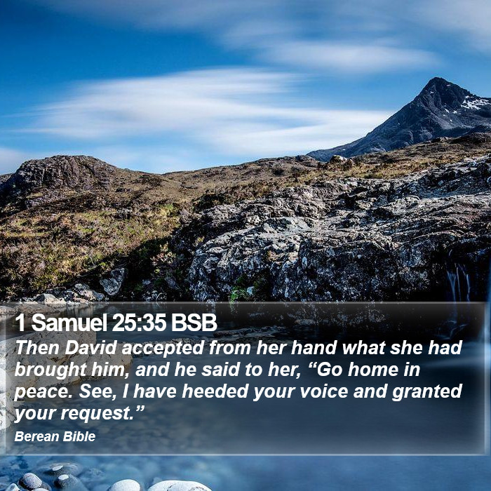 1 Samuel 25:35 BSB Bible Study