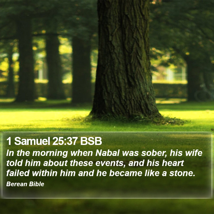 1 Samuel 25:37 BSB Bible Study