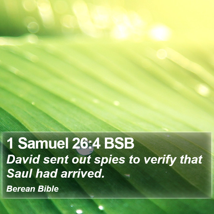 1 Samuel 26:4 BSB Bible Study