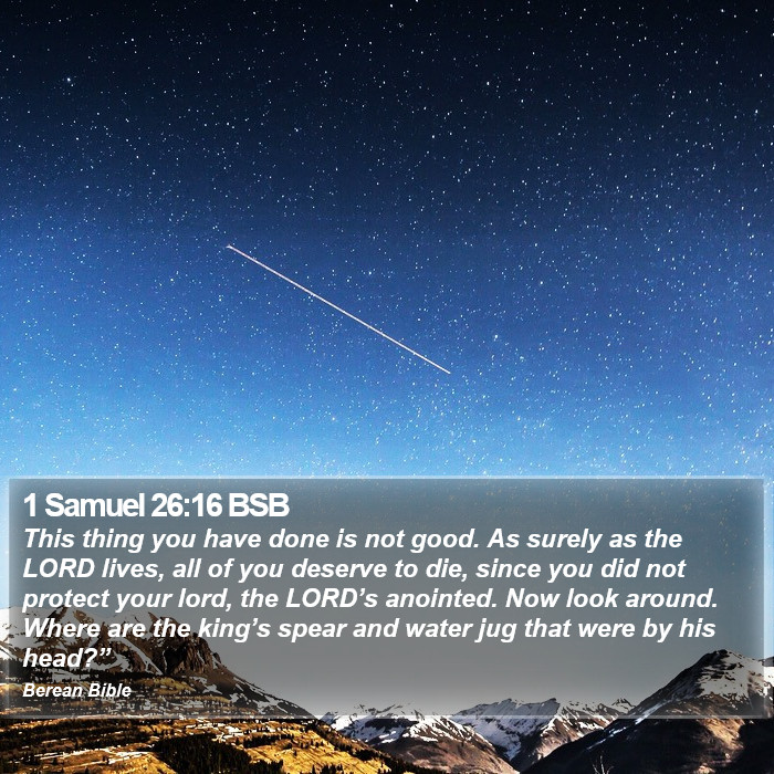 1 Samuel 26:16 BSB Bible Study