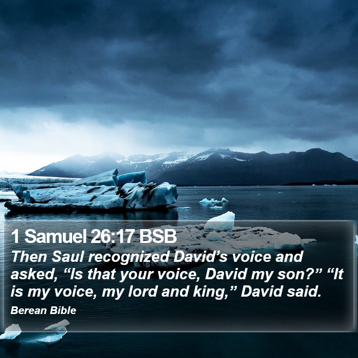 1 Samuel 26:17 BSB Bible Study