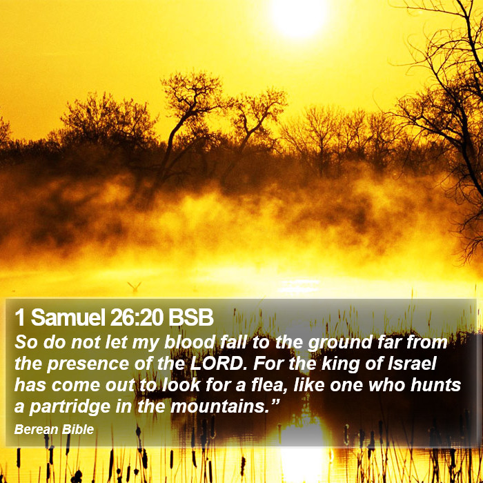 1 Samuel 26:20 BSB Bible Study