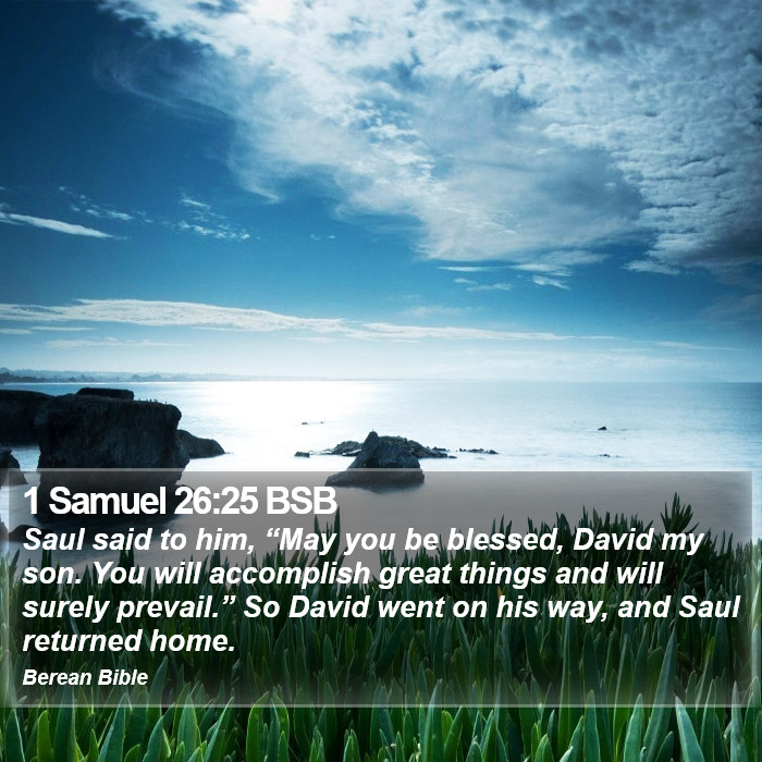 1 Samuel 26:25 BSB Bible Study