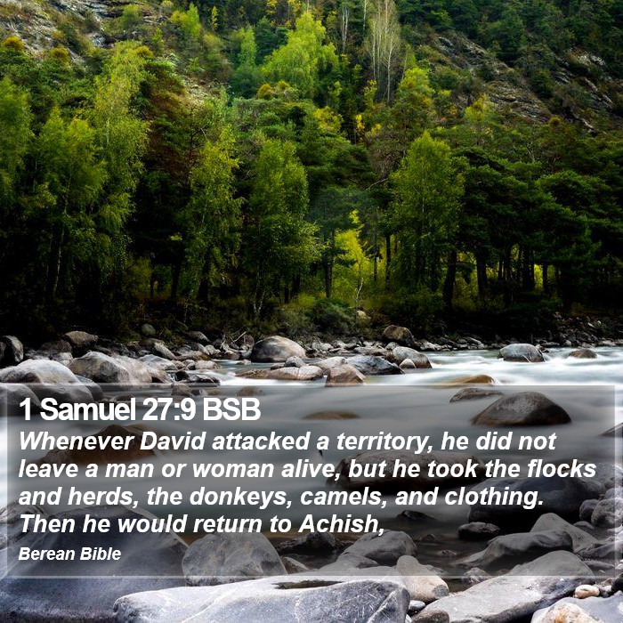 1 Samuel 27:9 BSB Bible Study