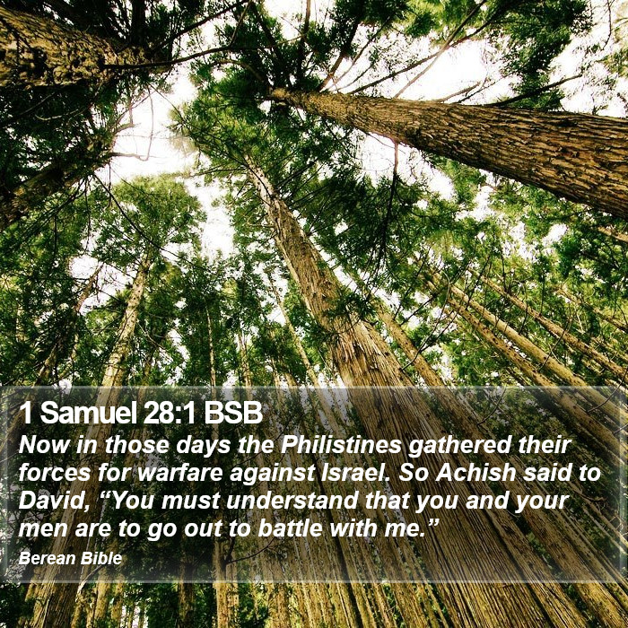 1 Samuel 28:1 BSB Bible Study