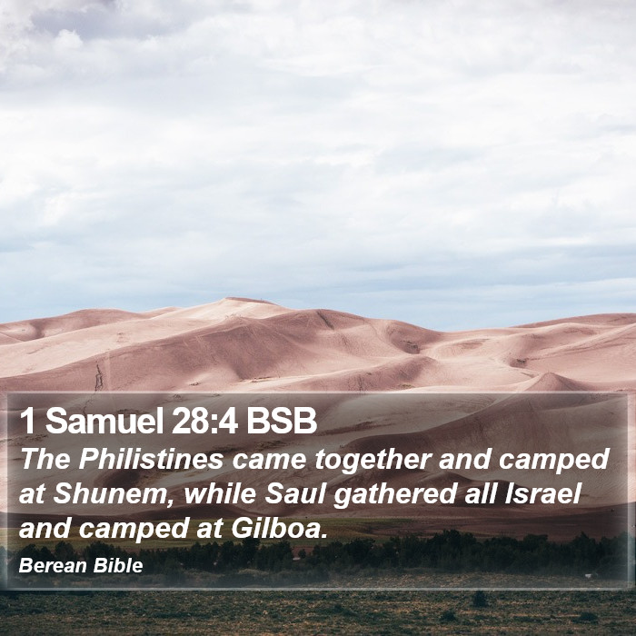 1 Samuel 28:4 BSB Bible Study