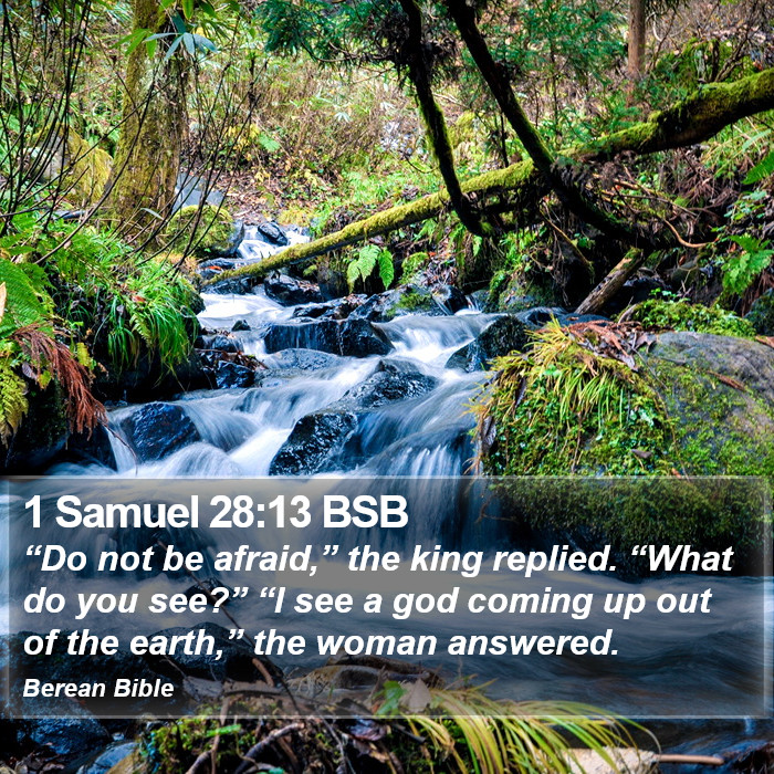 1 Samuel 28:13 BSB Bible Study