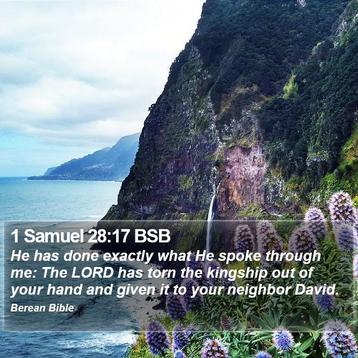 1 Samuel 28:17 BSB Bible Study