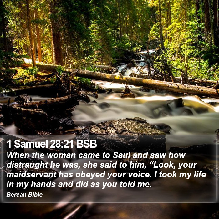 1 Samuel 28:21 BSB Bible Study