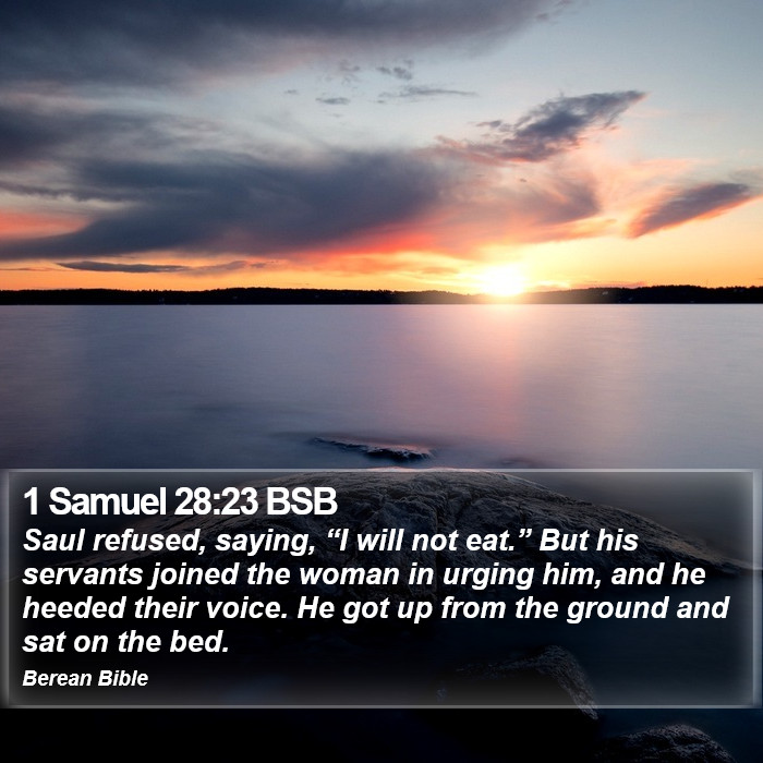 1 Samuel 28:23 BSB Bible Study