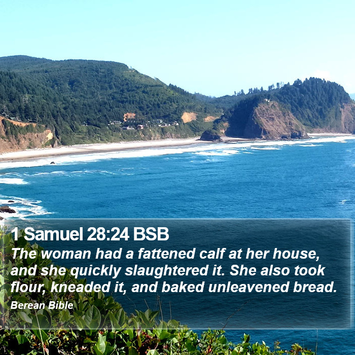 1 Samuel 28:24 BSB Bible Study