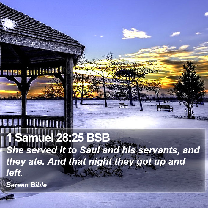 1 Samuel 28:25 BSB Bible Study