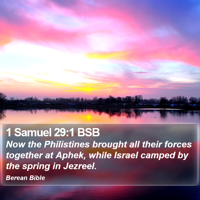 1 Samuel 29:1 BSB Bible Study