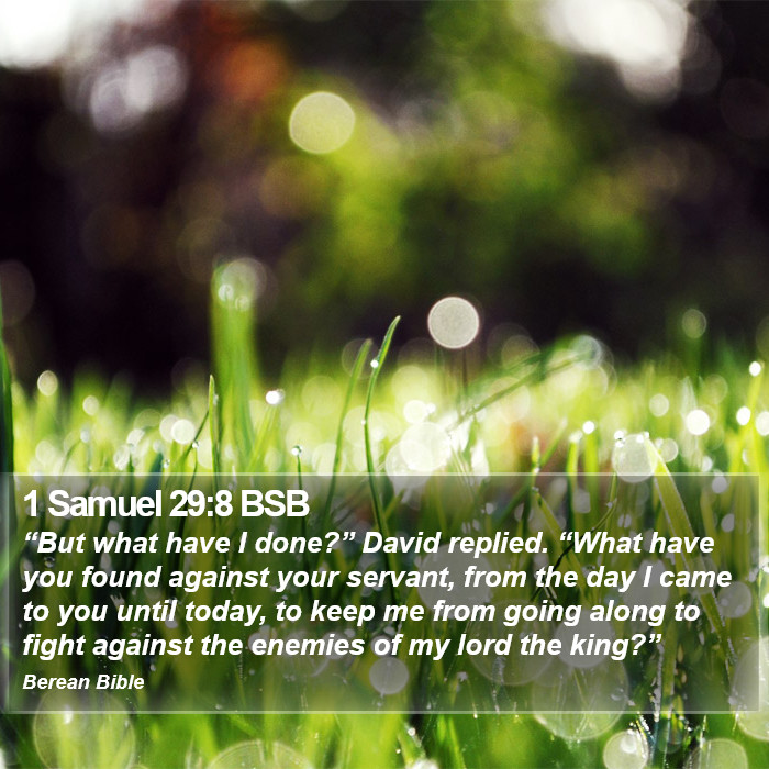 1 Samuel 29:8 BSB Bible Study