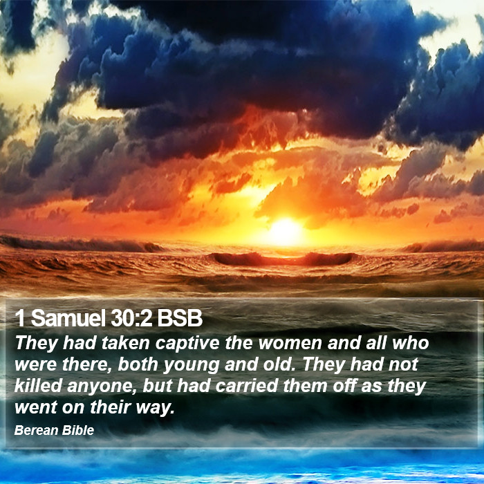 1 Samuel 30:2 BSB Bible Study