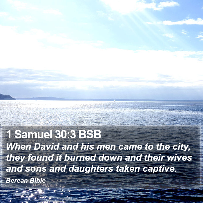 1 Samuel 30:3 BSB Bible Study