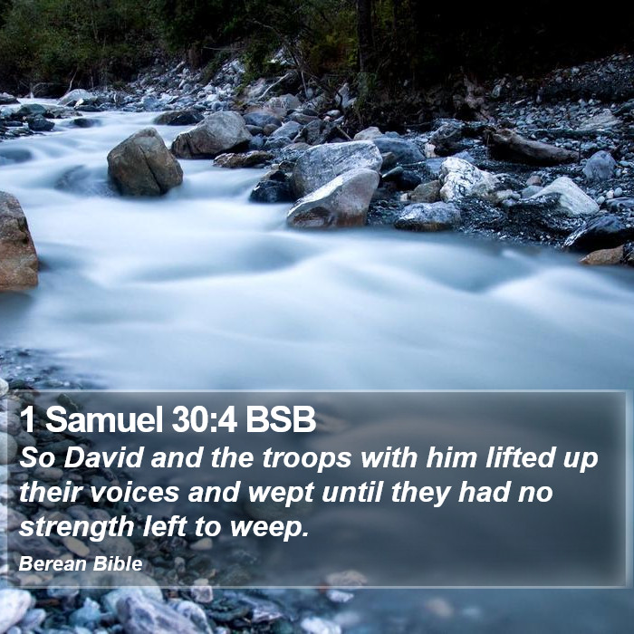 1 Samuel 30:4 BSB Bible Study