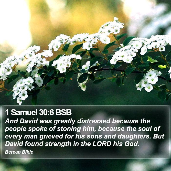 1 Samuel 30:6 BSB Bible Study