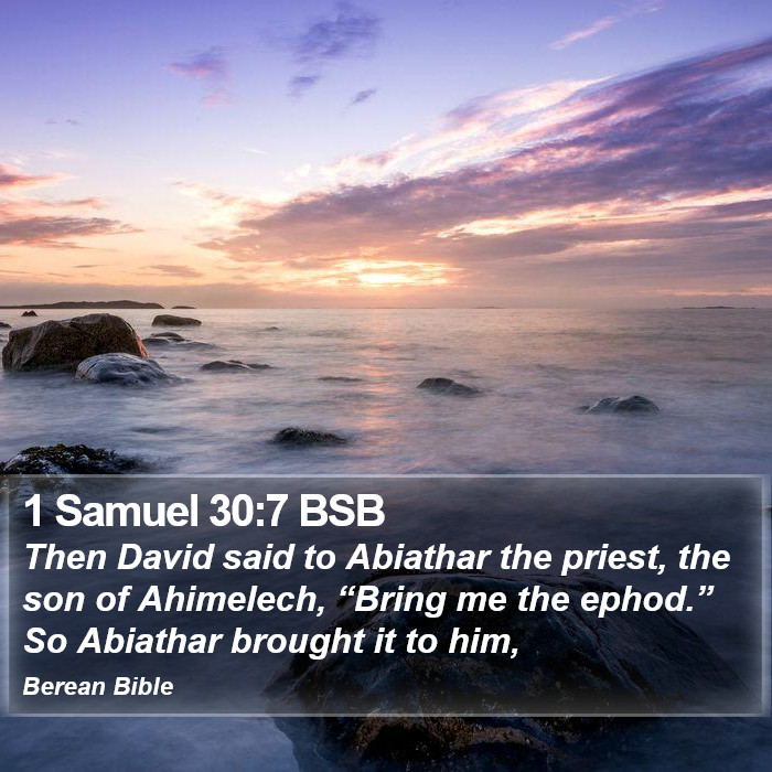 1 Samuel 30:7 BSB Bible Study