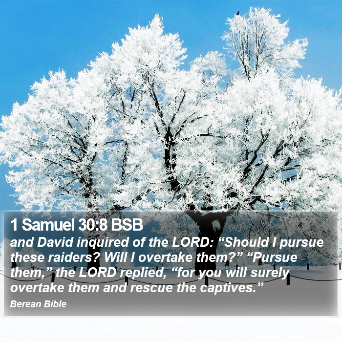 1 Samuel 30:8 BSB Bible Study