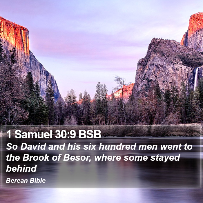 1 Samuel 30:9 BSB Bible Study