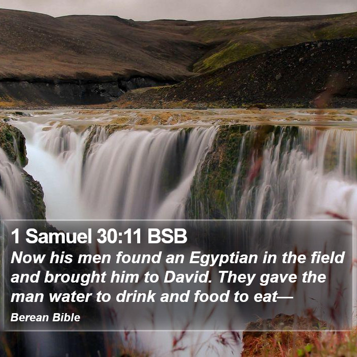 1 Samuel 30:11 BSB Bible Study