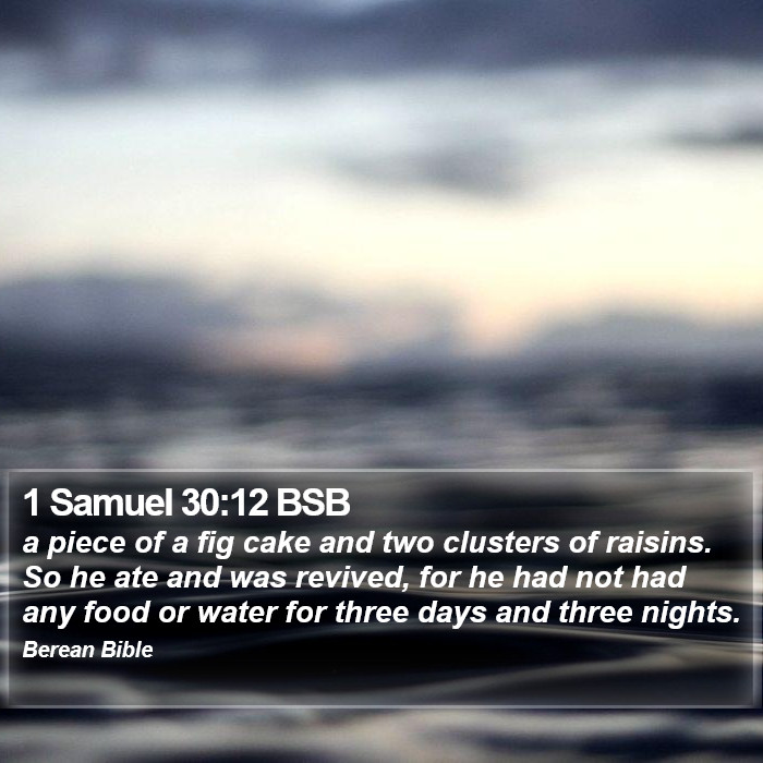 1 Samuel 30:12 BSB Bible Study