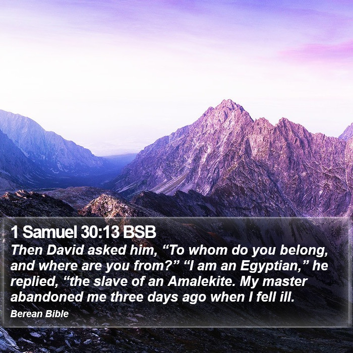 1 Samuel 30:13 BSB Bible Study