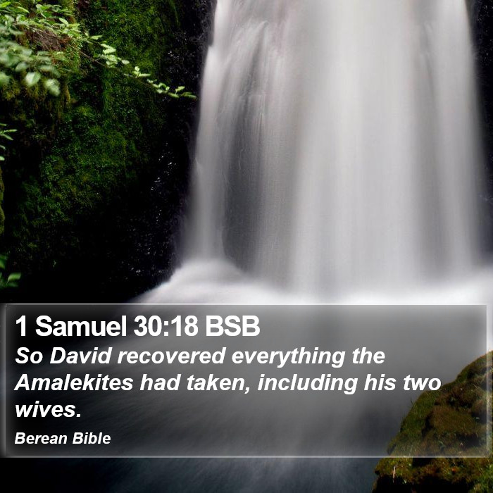 1 Samuel 30:18 BSB Bible Study