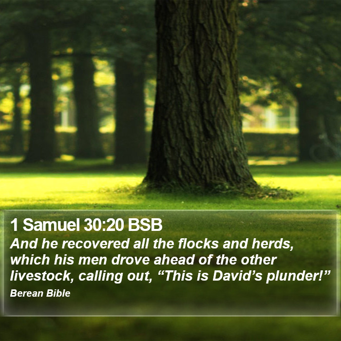 1 Samuel 30:20 BSB Bible Study