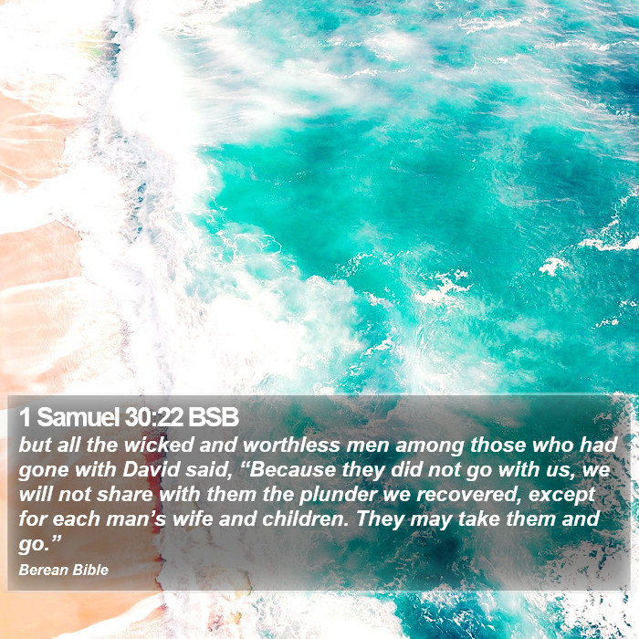 1 Samuel 30:22 BSB Bible Study