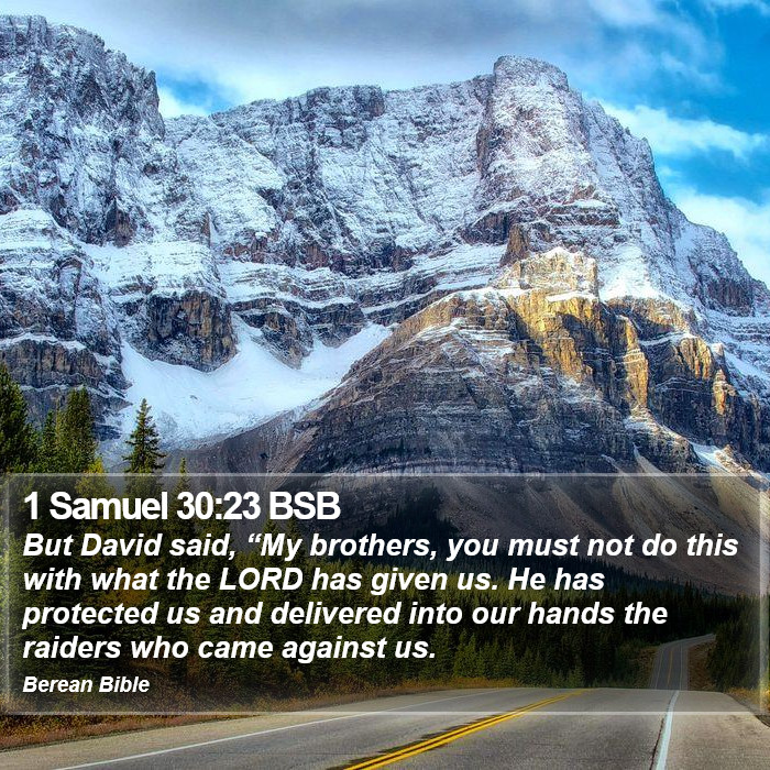 1 Samuel 30:23 BSB Bible Study