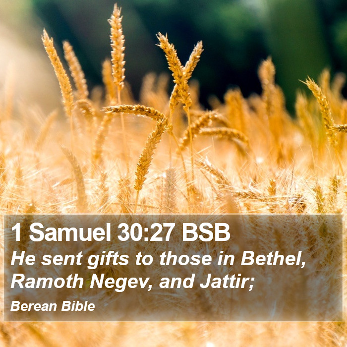 1 Samuel 30:27 BSB Bible Study