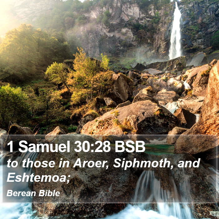 1 Samuel 30:28 BSB Bible Study