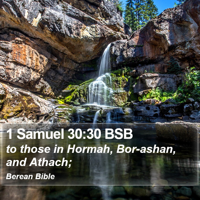 1 Samuel 30:30 BSB Bible Study