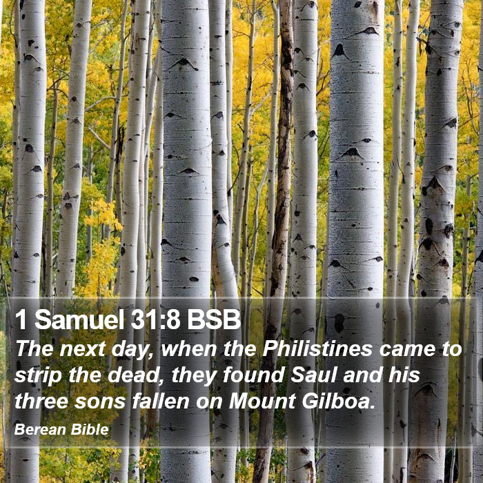 1 Samuel 31:8 BSB Bible Study