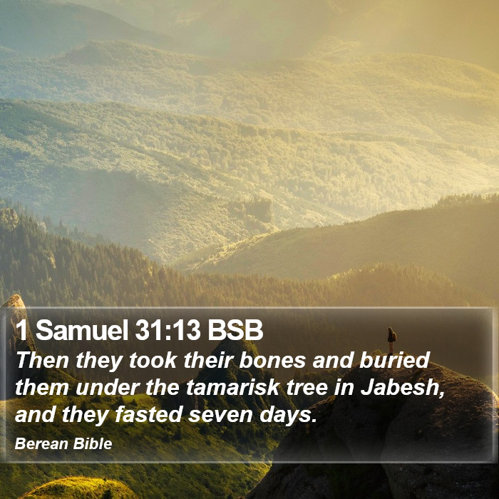 1 Samuel 31:13 BSB Bible Study