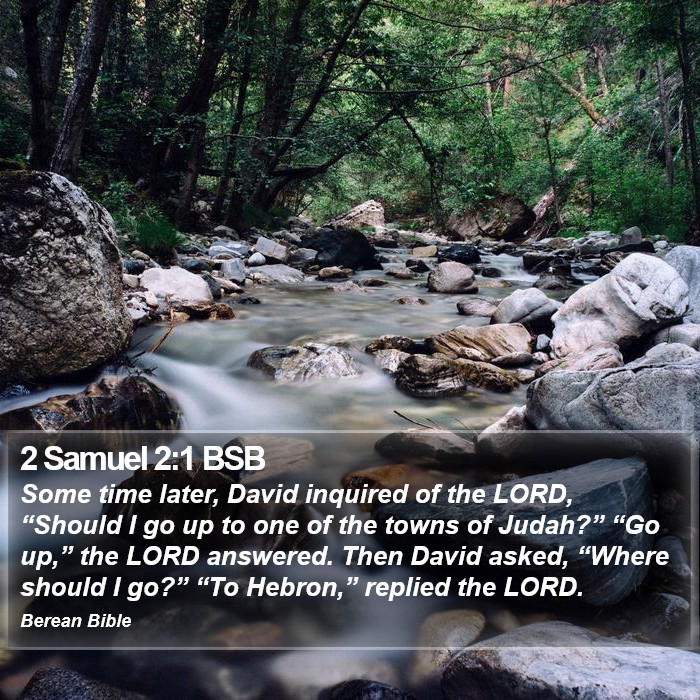 2 Samuel 2:1 BSB Bible Study