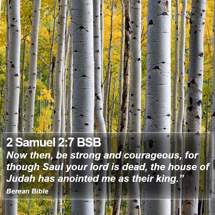 2 Samuel 2:7 BSB Bible Study