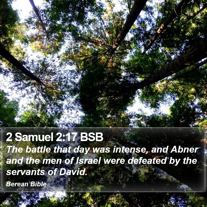 2 Samuel 2:17 BSB Bible Study