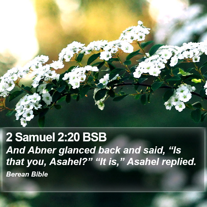 2 Samuel 2:20 BSB Bible Study