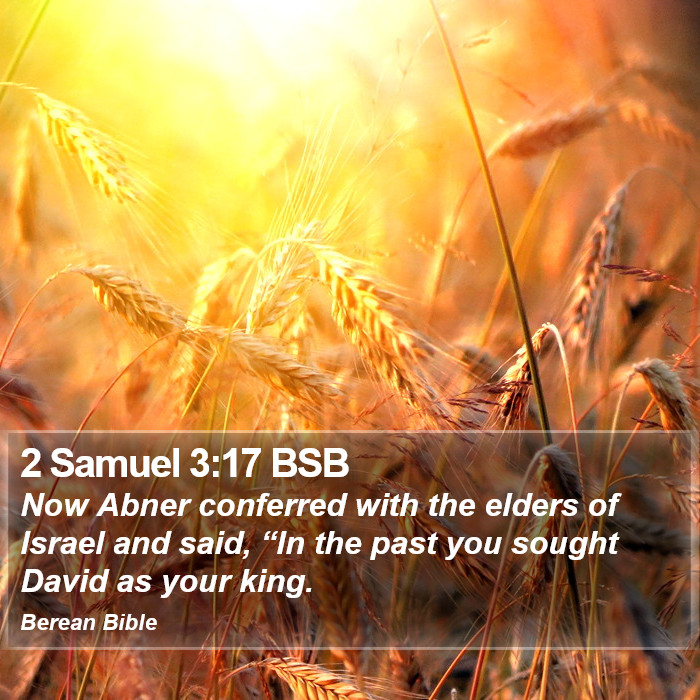 2 Samuel 3:17 BSB Bible Study