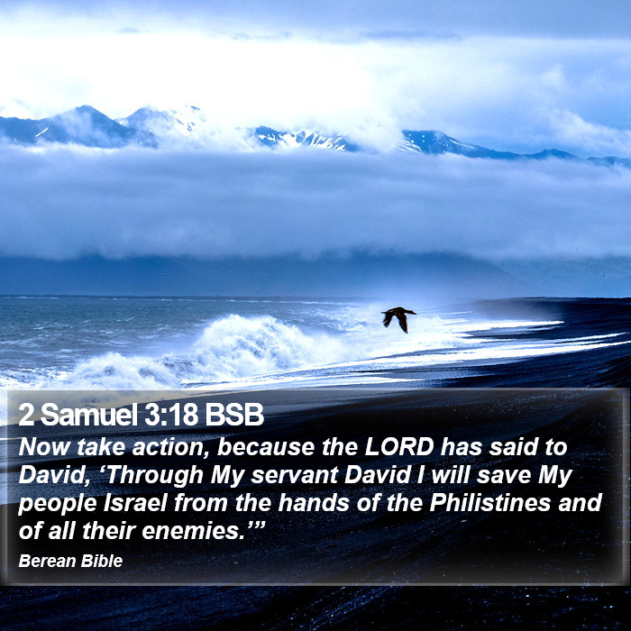 2 Samuel 3:18 BSB Bible Study