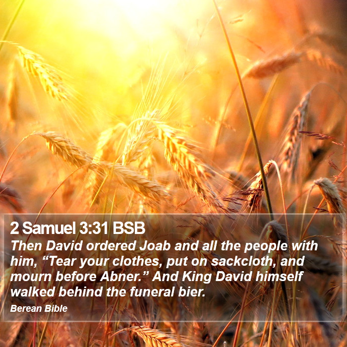 2 Samuel 3:31 BSB Bible Study