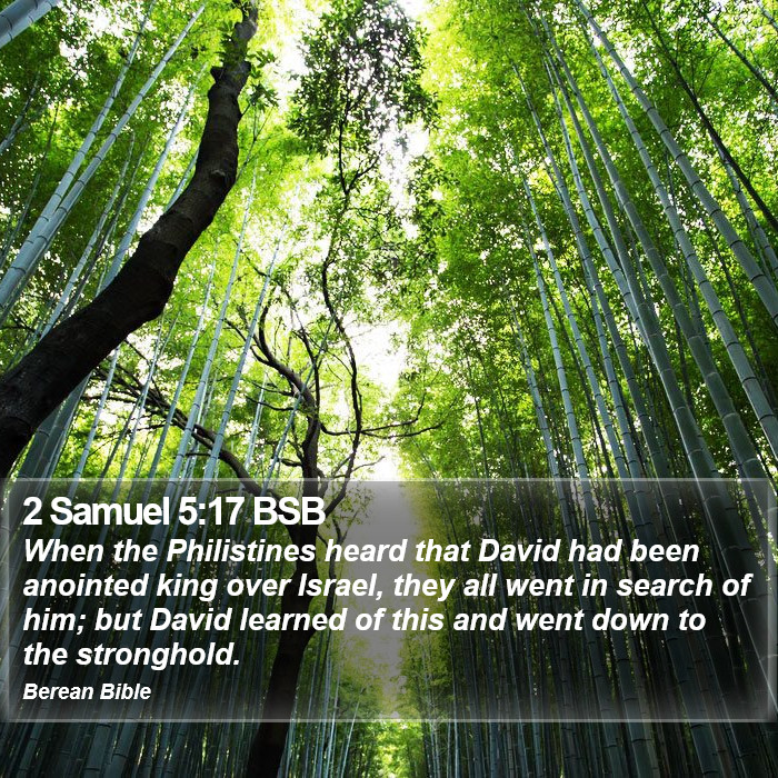 2 Samuel 5:17 BSB Bible Study