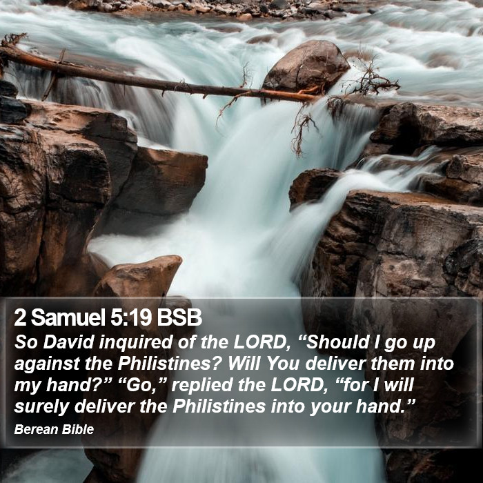 2 Samuel 5:19 BSB Bible Study